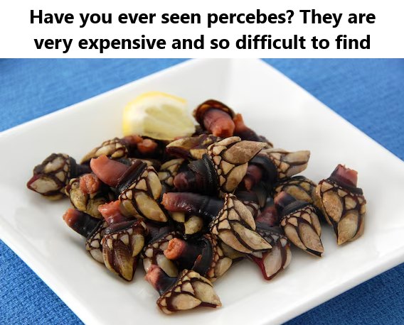 Ugly, Dangerous, and Expensive—but Delicious: What Are Percebes?